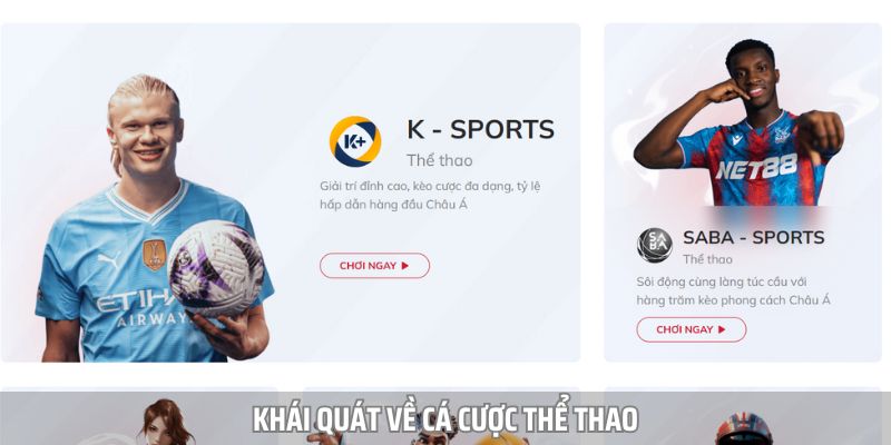 Giới thiệu nhanh thông tin về cá cược thể thao