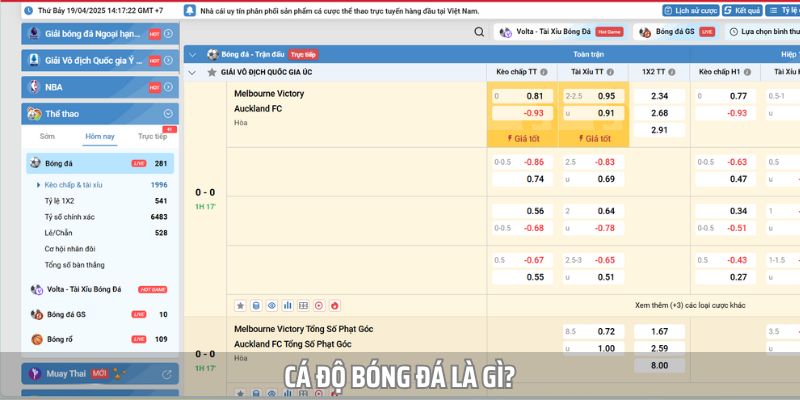 Cá độ bóng đá ngày càng phổ biến trên thị trường