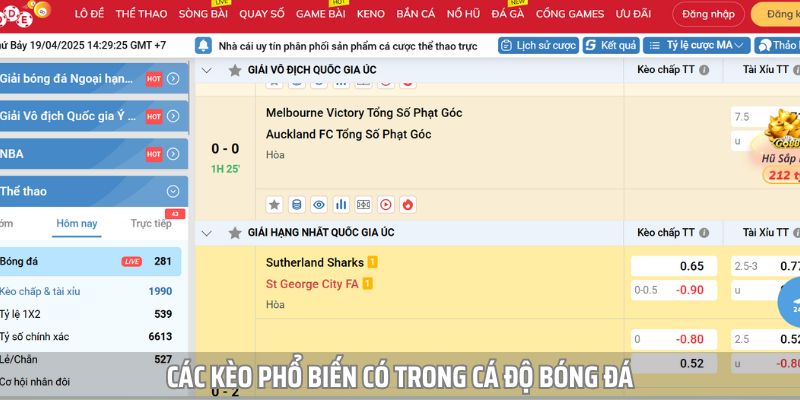 Các loại kèo phổ biến khi cá độ bóng đá