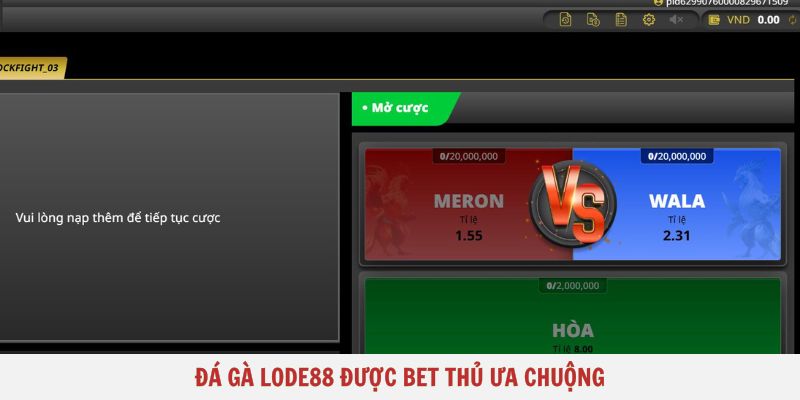 Đá gà Lode88 được bet thủ ưa chuộng