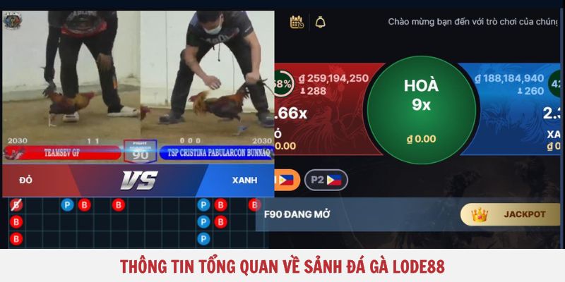 Thông tin tổng quan về sảnh đá gà Lode88