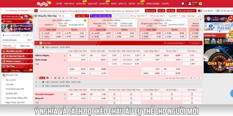 Cách đọc kèo châu Âu cụ thể từ A - Z cho người mới